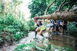 BIB: 
                            <button type="button" onclick="openModal(25473550)" class="btn btn-primary btn-sm float-right btn-popup" data-toggle="modal" data-target=".modal-high-quality">
                        <i class="fas fa-shopping-cart"></i> Add to Cart
                    </button>
                                            <button type="button" onclick="isThisMe(25473550, true)" class="btn btn-success btn-sm float-right btn-popup btn-isme hidden" data-toggle="tooltip" data-placement="bottom" title="นี่คือรูปของคุณใช่ไหม คลิกที่นี่เพื่อเอาเข้าอัลบั้ม">
                        <i class="fas fa-plus"></i> Add to album
                    </button>
                    <button type="button" onclick="isThisMe(25473550, false)" class="btn btn-warning btn-sm float-right btn-popup btn-isnotme hidden">
                        <i class="fas fa-ban"></i> Remove from album
                    </button>